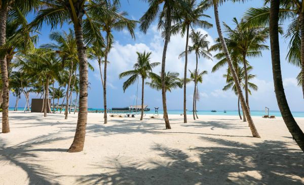 Vacances audacieuses : vivez l'élégance et l'aventure !